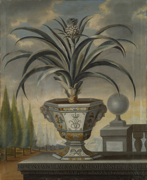 Pineapple plant, 1729 (oil on canvas)