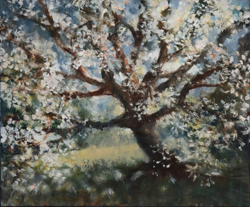 Cherry Tree, Central Park, 2014-15 (oil painting)