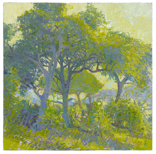Sunlit Trees outside Letaba, Kruger, SA, 2017 (oil on linen)