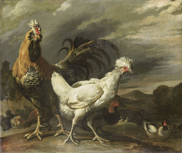 Cock, 1670 (oil on canvas)