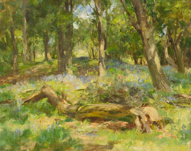 Woodland Scene (oil on canvas)