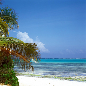 Zanzibar