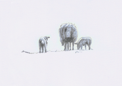 Gentle Spirits V, 2022, (pencil drawing)