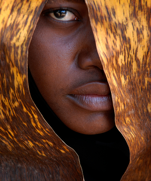 Noir et or 1, 2007 (photo)