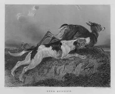 Deer Hunting (engraving)