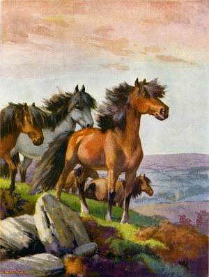 Ponies sniffing the dawn wind (colour litho)