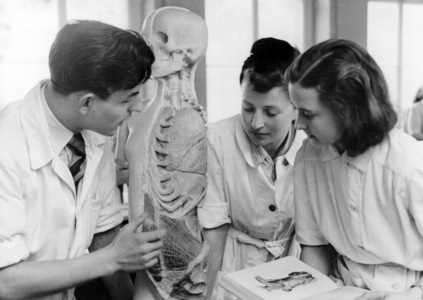 II. WK, Women in study, 1944 (photo)