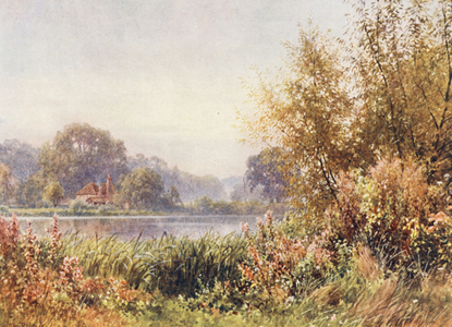 Autumn Weeds, Chilworth (colour litho)