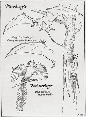 Pterodactyl and Archaeopteryx (print)