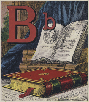 Book (colour litho)