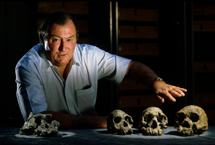 Richard Leakey with WT17000, KNMER 18, KNMER3733, KNMER 1470, 1995 (photo)