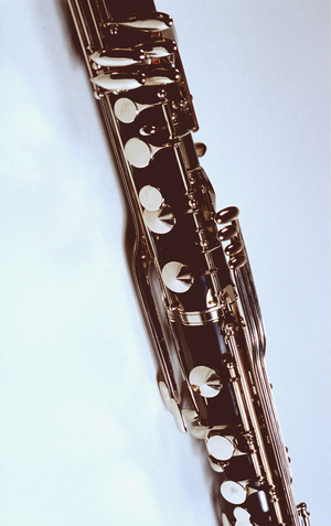 Detail of bass clarinet