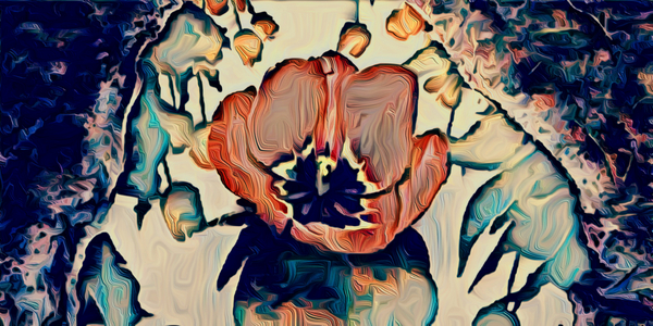 Water Lilly, 2021, (digital)