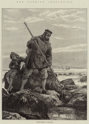 Our Fishing Industries, Prawn-Fishing at Hastings (engraving)