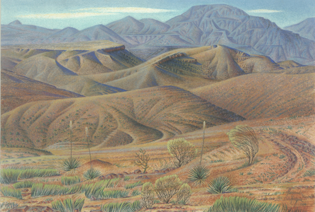 Open Space, Big Bend, 1984 (pastel on paper)