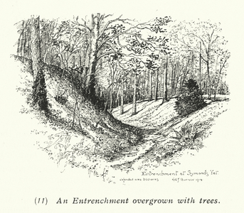 An Entrenchment overgrown with trees (litho)