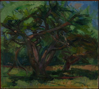 Vagliano's Orchard II, 1982 (oil on canvas)