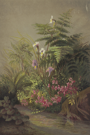 Flowers beside a stream (colour litho)