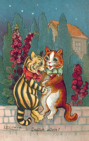 Humorous cat postcard (colour litho)