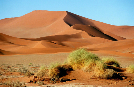 Dune landscape in Sossusvlei, 1996 (photo)