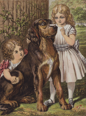 Good Dog Dash (colour litho)