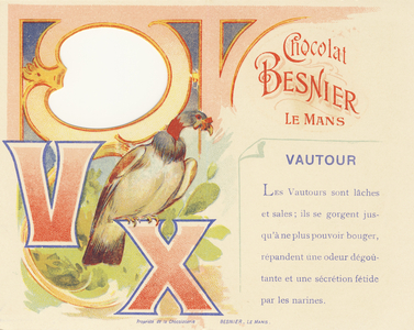 Capital letters V X and description of the Vulture, 1890 (chromolithography)