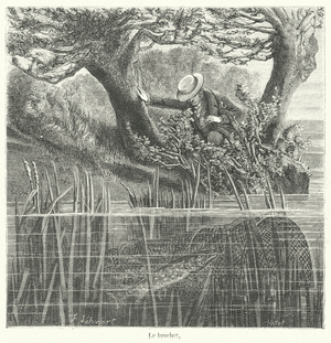 Le brochet (engraving)