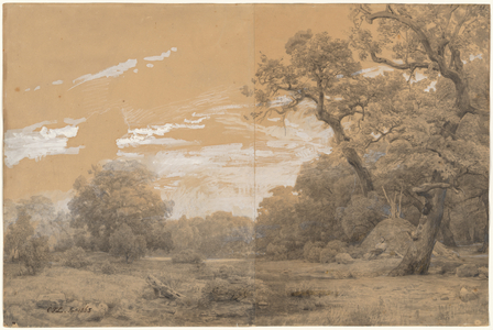 Forest Landscape, 1865 (brush & wash, white gouache, black chalk & pencil on paper)