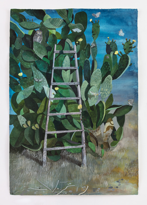 Night Flowering Prickly Pear, 2021 (w/c and gouache on Khadi paper)