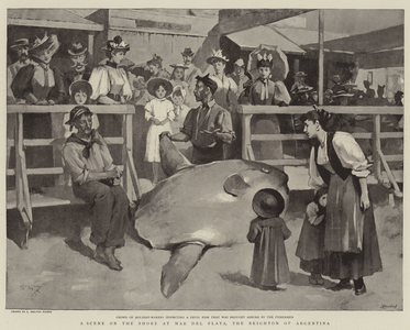 A Scene on the Shore at Mar del Plata, the Brighton of Argentina (litho)