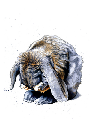 Rabbit Paws on White, 2020, (pen and ink)