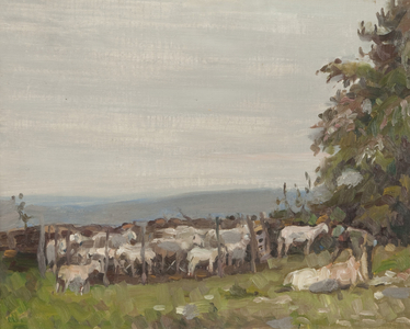 Sheep Shearing, early 20th century (oil on board)