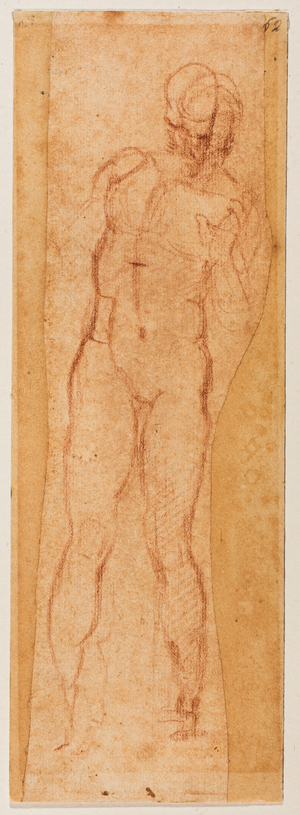 Study for a Manly Figure, 1531 (drawing)