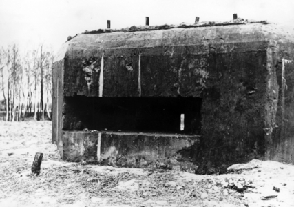 II. WK, Eastern Front 1942 (photo)