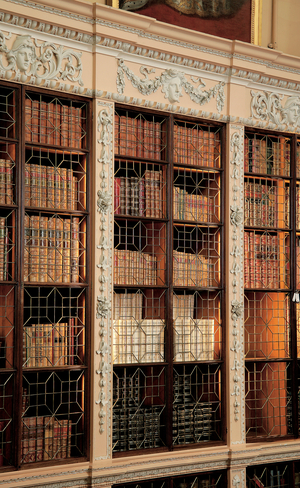 Bookshelves in the Long Library at Blenheim Palace, Oxfordshire (photo)