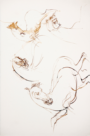 Leonardo 96 (drawing)