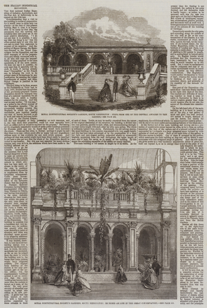 Royal Horticultural Society Gardens in South Kensington (engraving)