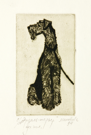Airedale Terrier, 1994 (drypoint)