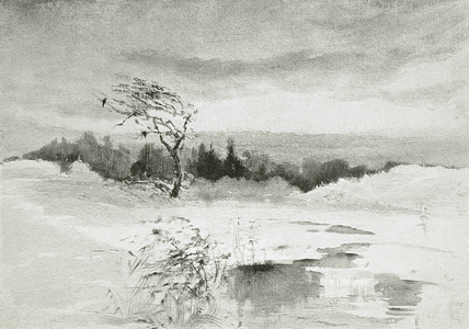 Landscape with Water and Windswept Tree, 1896 (wood engraving)