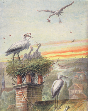 A stork's nest (colour litho)
