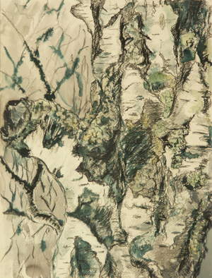 Bark, 1974 (gouache on paper)