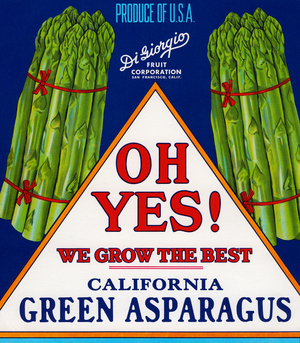 Oh Yes! Asparagus Product Label, 1950s (colour litho)