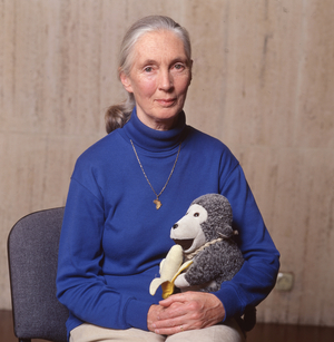 JANE  GOODALL  2001