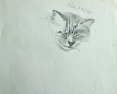 Dick, Head of Tabby 1959 (pencil on paper)