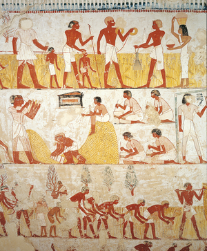 Working in fields, Tomb of royal estate supervisor Menna, Vestibule, 18th Dynasty (mural painting)