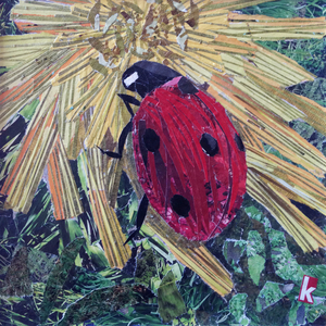 'Rise' Ladybird On Chrysanthemum, 2016 (magazine collage)