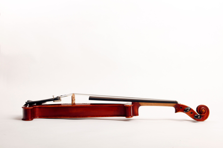 Skeleton violin