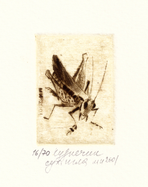 Grasshopper, 2001 (drypoint)