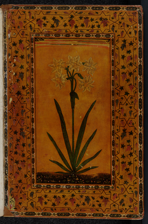 Mughal Indian calligraphy, 17th century (manuscript)