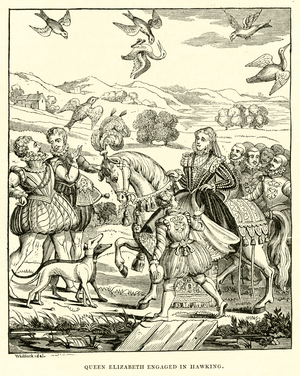 Queen Elizabeth engaged in hawking (engraving)